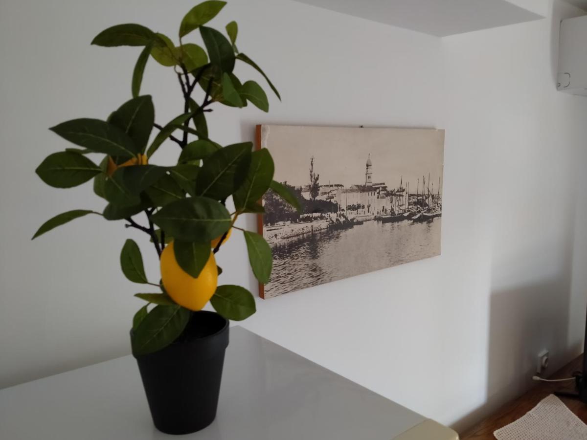 Apartman Avsec 克尔克 外观 照片